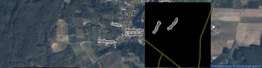 Zdjęcie satelitarne Plac Wolności pl.